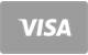 Visa kaart plat icoon betaalmethode